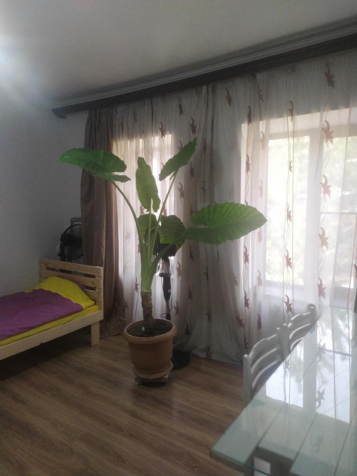"Stairs"Guest House 예레반 외부 사진